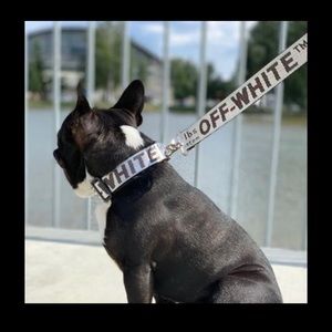 🆕 Off-White SILVER WHITE Large Med Dog Collar & Leash adjustable 14”- 23” Long